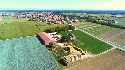 Ferme Fritsch, Ferme Bio à Niedernai