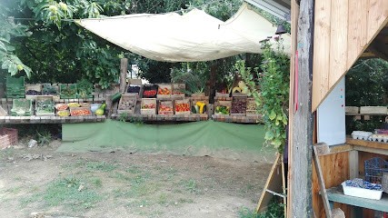 Le Jardin Potager de la Ruée, Ferme Bio à Bains-sur-Oust