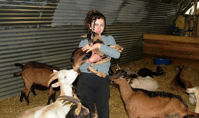 La Bêle Chèvrerie, Ferme Bio à Tréogan