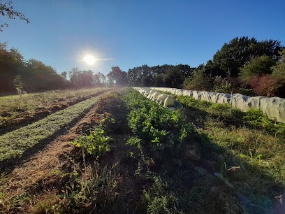 Ferme de la Renaudière / La cabane du Merle, Ferme Bio à Écueillé