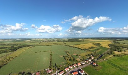 LE PTIT PANIER DE VIRECOURT, Magasin Bio à Virecourt