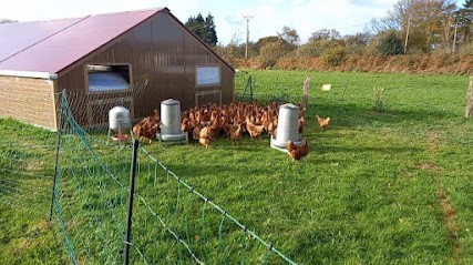 Cotentine'oeufs, Ferme Bio à Bretteville