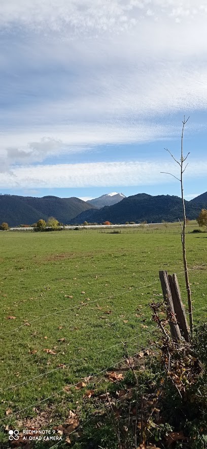 TERRA ALTER NATIVE (ex-FERME SAINT JUST), Ferme Bio à Valcabrère