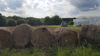 La clairière, Ferme Bio à Cornille