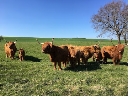 SCEA Letzelter, Ferme Bio à Rolbing