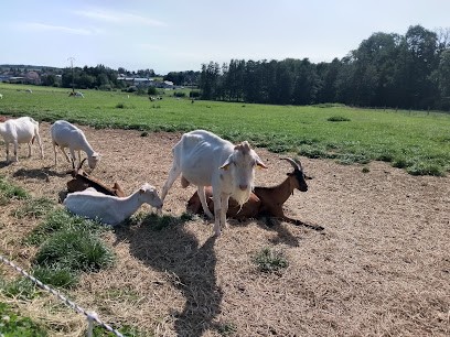 Chèvrerie de Niderviller, Ferme Bio à Niderviller