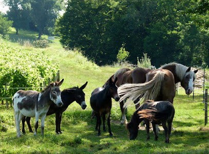 La Ferme à Roulettes, Ferme Bio à Saint-Vivien
