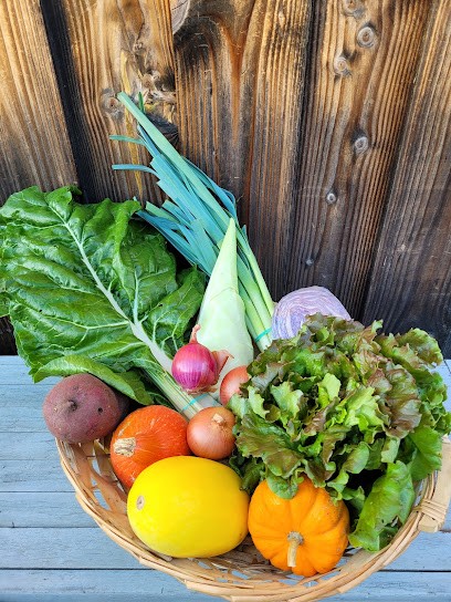 Les Paniers de Sylvain, Ferme Bio à Labastide-de-Lévis