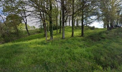 Bigot Laurent, Ferme Bio à Salies-de-Béarn