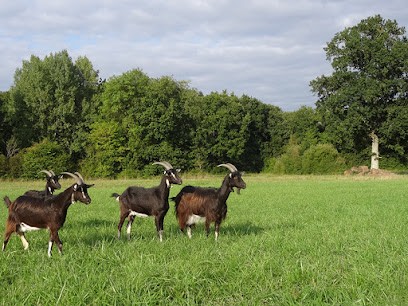 GAEC Il était Une Ferme, Ferme Bio à Caunay