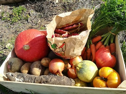 Ferme de Vézelay Terroirs, Ferme Bio à Saint-Père
