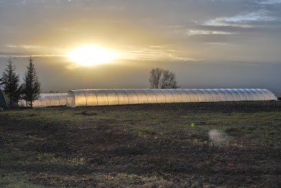À Pic Légumes, Ferme Bio à Saint-Héand