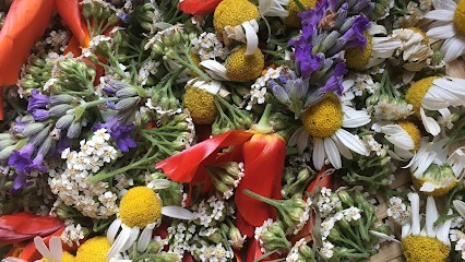 Les Saveurs de Kristofine, Ferme Bio à Suhescun