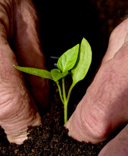 La Grange des Bons Plants, Ferme Bio à Aynac