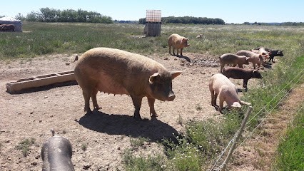 La Ferme des Cochons Bio, Ferme Bio à Bretx