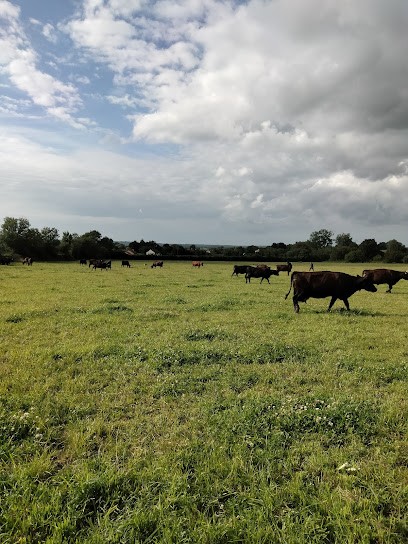 Bodin Laurent (EI), Ferme Bio à Samer