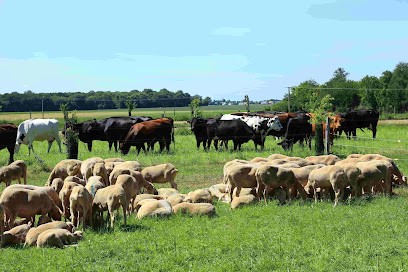 Ferme Des Pâtures, Ferme Bio au Val-Doré