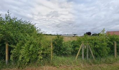Le Safran de la Vallée aux Loutres, Ferme Bio à Pierres