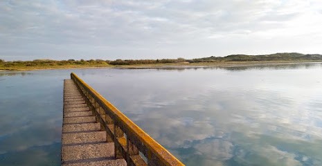 Ferme De La Rive Mer, Ferme Bio à Canville-la-Rocque