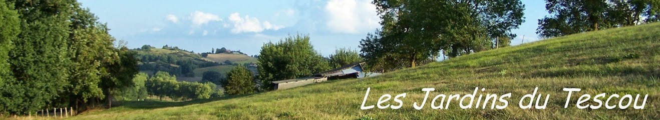 Les Jardins du Tescou, Ferme Bio à Saint-Urcisse