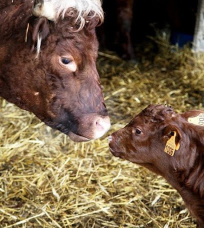 salersbio.com vente viande biologique, Ferme Bio à Herleville