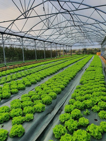 Les Champs d'Orion, Ferme Bio à Reiningue