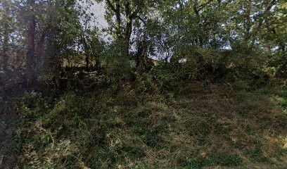 GAEC de Pech Biau, Ferme Bio à Montauriol