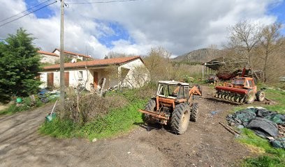 BIO MANS 43 - Jouve Jean-Louis, Ferme Bio à Roche-en-Régnier