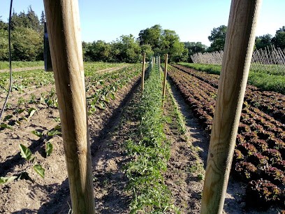 Paysan boulanger, maraîchage bio, La Passerelle Verte, Aldric Guillon, Ferme Bio à Velleron