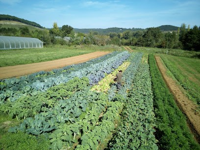 la Ferme du Théron, Ferme Bio à Prayssac