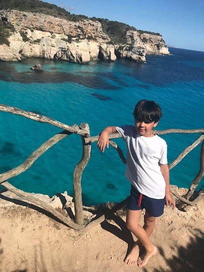 Les Paniers du Maraicher 66, Ferme Bio à Elne