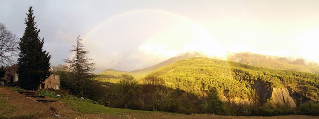 Plantago - Plantes Médicinales Paysannes, Ferme Bio à Cornillac