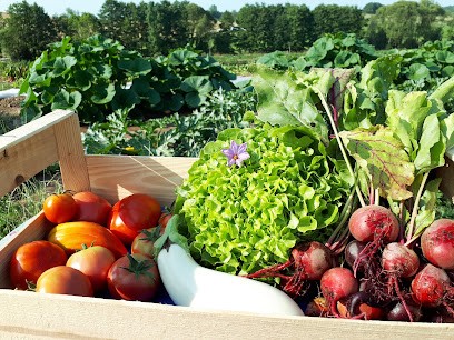 Les Jardins de Popote, Ferme Bio à Ébersviller