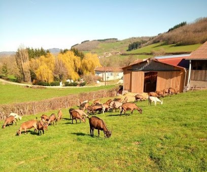 Earl biquette and cow, Ferme Bio à Saint-Pierre-le-Vieux