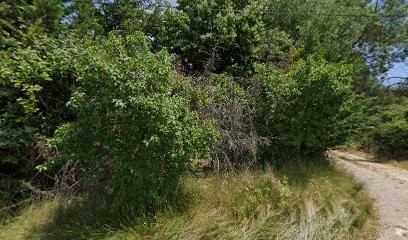 Le Potager de Laurence, Ferme Bio à Montarnaud