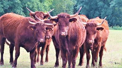 La Ferme des Cramaillots, Ferme Bio à Vauchoux