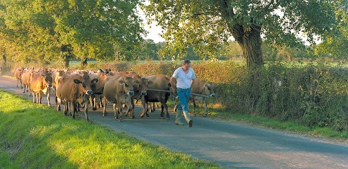 Bernard Gaborit - Produits Laitiers Bio, Ferme Bio à Maulévrier