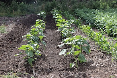 La Ferme De Monrepos, Ferme Bio à Pleurtuit