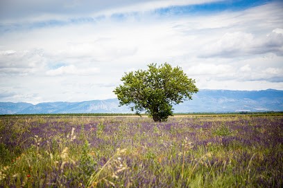 La Petite Campagne : Gîtes à la ferme, Ferme Bio à Brunet