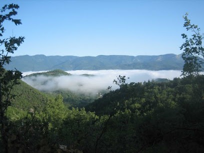 Cévenn'essences, Ferme Bio à Saint-Bresson