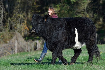 SCEA Rozefeuillié, Ferme Bio à Torcy-et-Pouligny