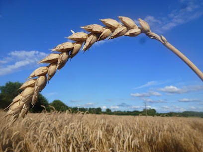 Ferme de la Rocheraie, Ferme Bio à Corps-Nuds
