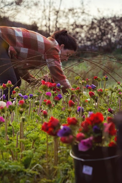 Maison Butine, Ferme Bio à Monein