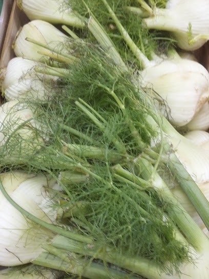 L'Hortellerie Planteureuse, Ferme Bio à Aumelas