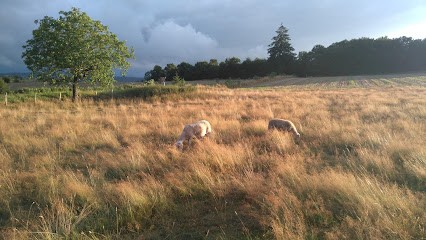 Verger de Chabaud, Ferme Bio au Châtenet-en-Dognon