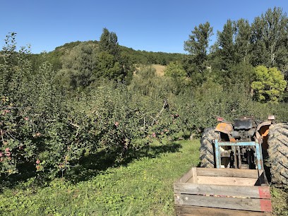 Le Verger d’Emma, BUSIN Emmanuel et Maëva, Ferme Bio à Bouloc-en-Quercy