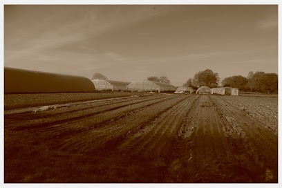Le Jardin de la Perrière, Ferme Bio à Plédéliac