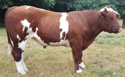 JPBoulay, Ferme Bio à La Jaille-Yvon
