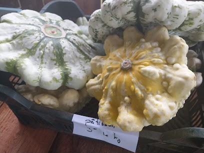 Ô pré de ma poule, Ferme Bio à La Bazoque