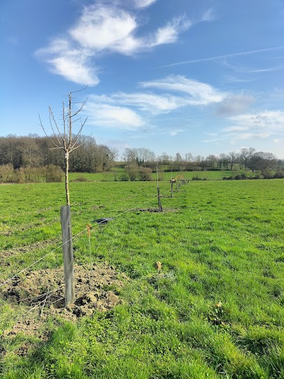 GAEC du Chemin Perray, Ferme Bio à Coulimer